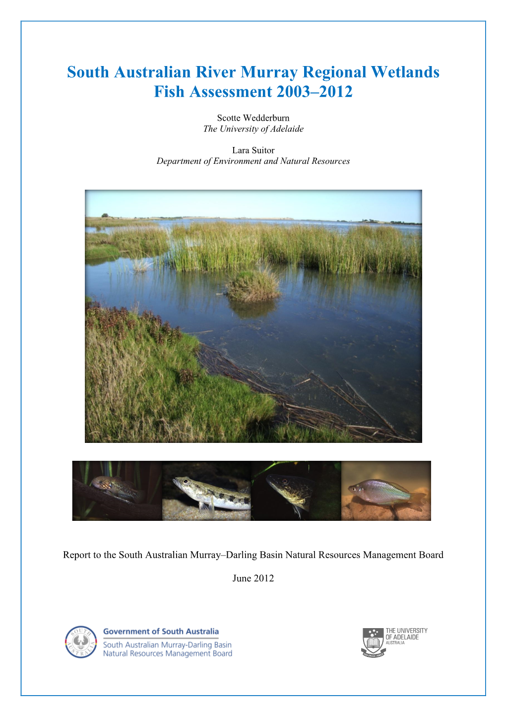 South Australian River Murray Regional Wetlands Fish Assessment 2003–2012