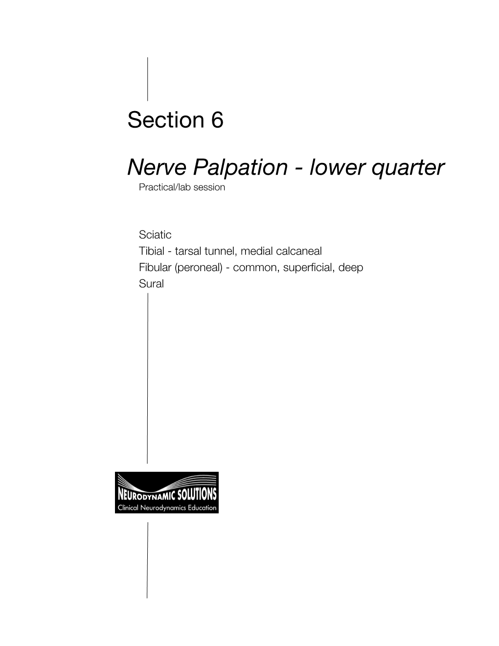Section 6 Nerve Palpation - Lower Quarter 2