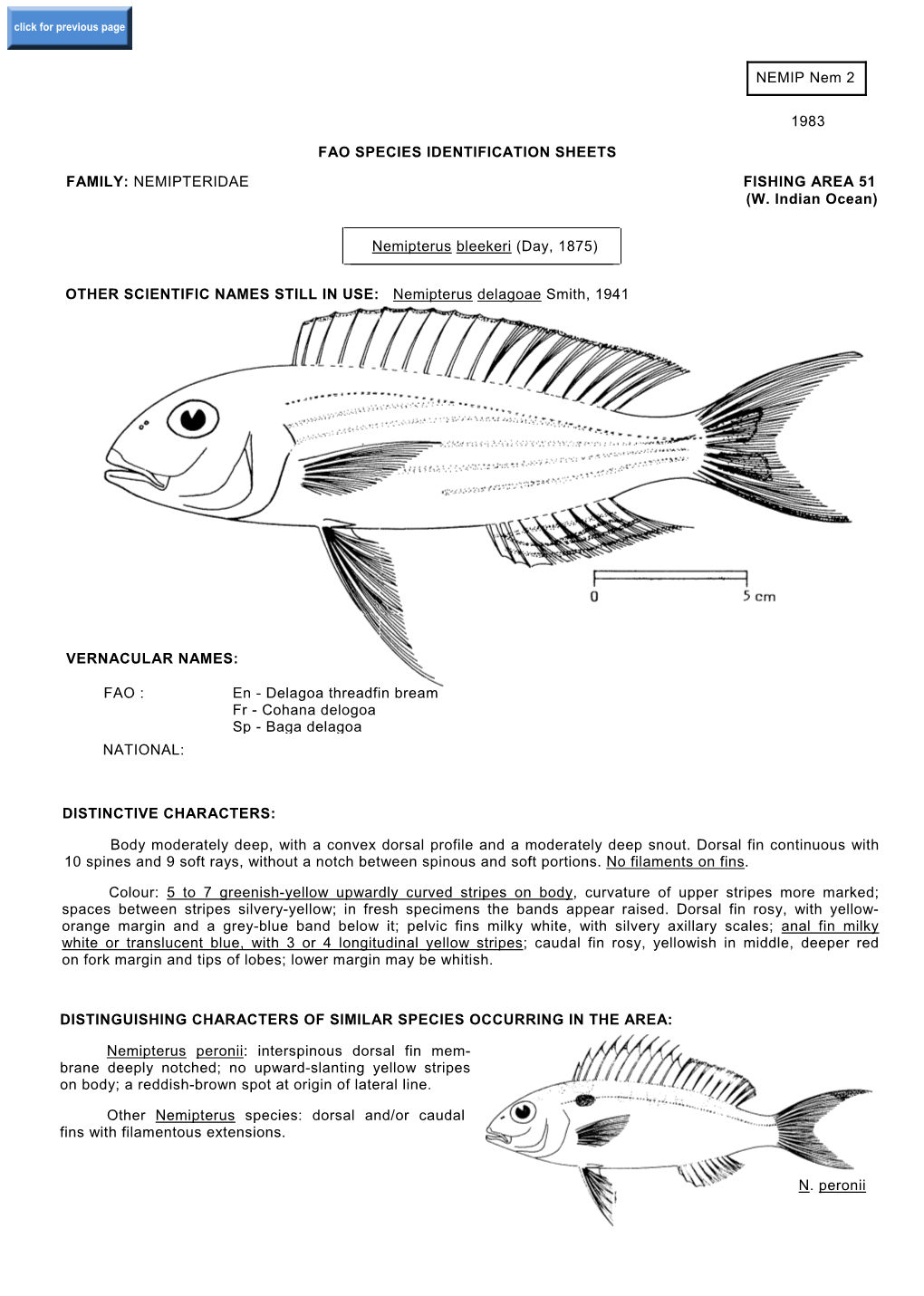 NEMIP Nem 2 1983 FAO SPECIES IDENTIFICATION SHEETS FAMILY