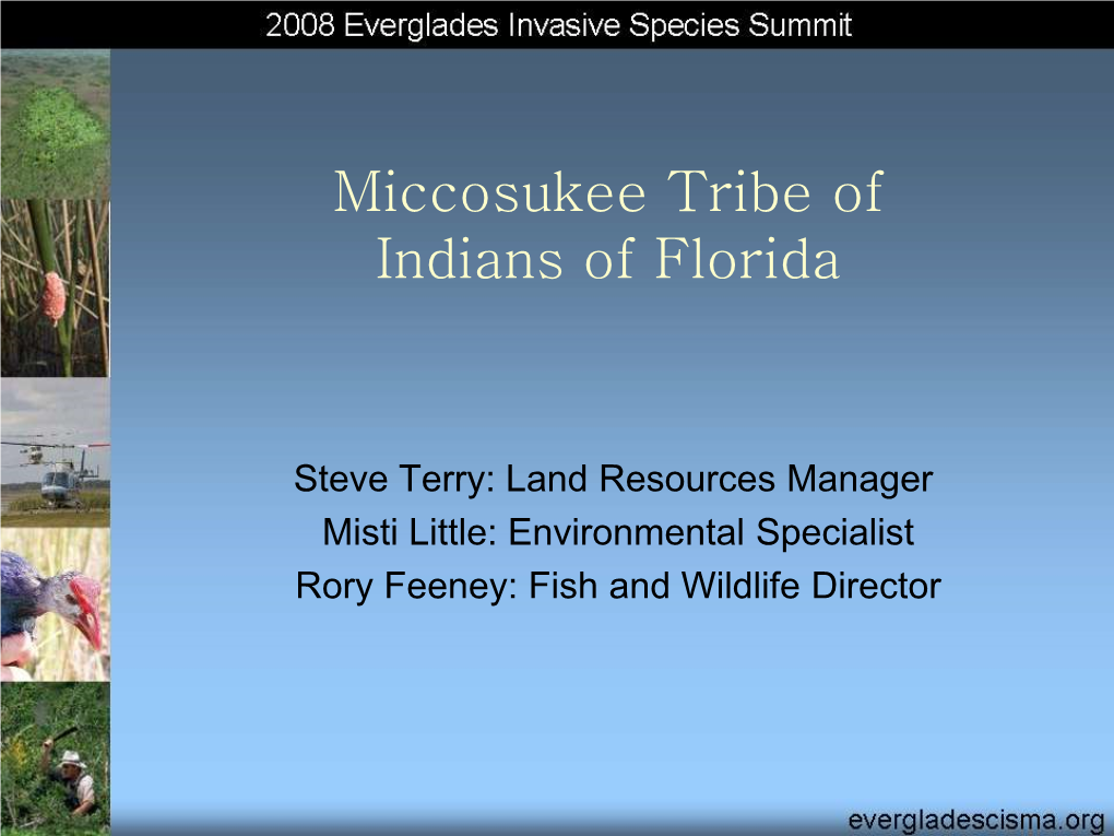 Miccosukee Tribe of Indians of Florida