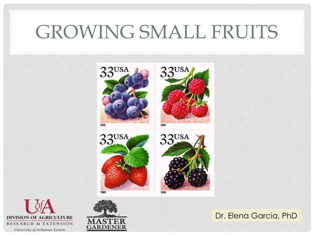 Growing Small Fruits