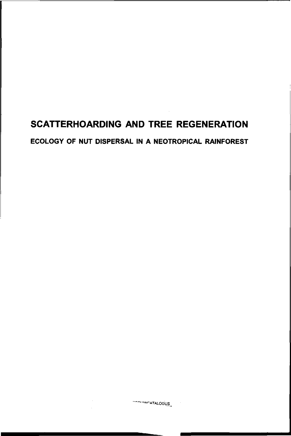 Scatterhoarding and Tree Regeneration