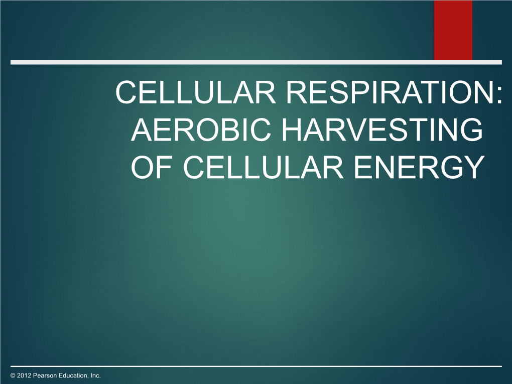 Aerobic Harvesting of Cellular Energy