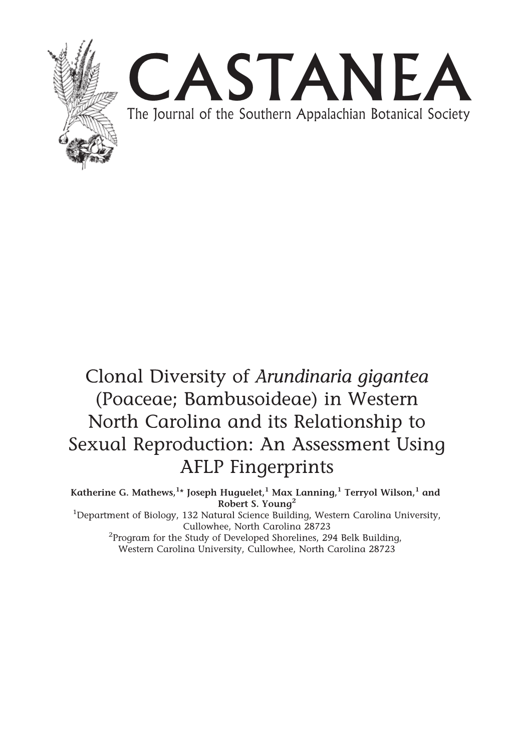 Arundinaria Gigantea (Poaceae; Bambusoideae) in Western North Carolina and Its Relationship to Sexual Reproduction: an Assessment Using AFLP Fingerprints