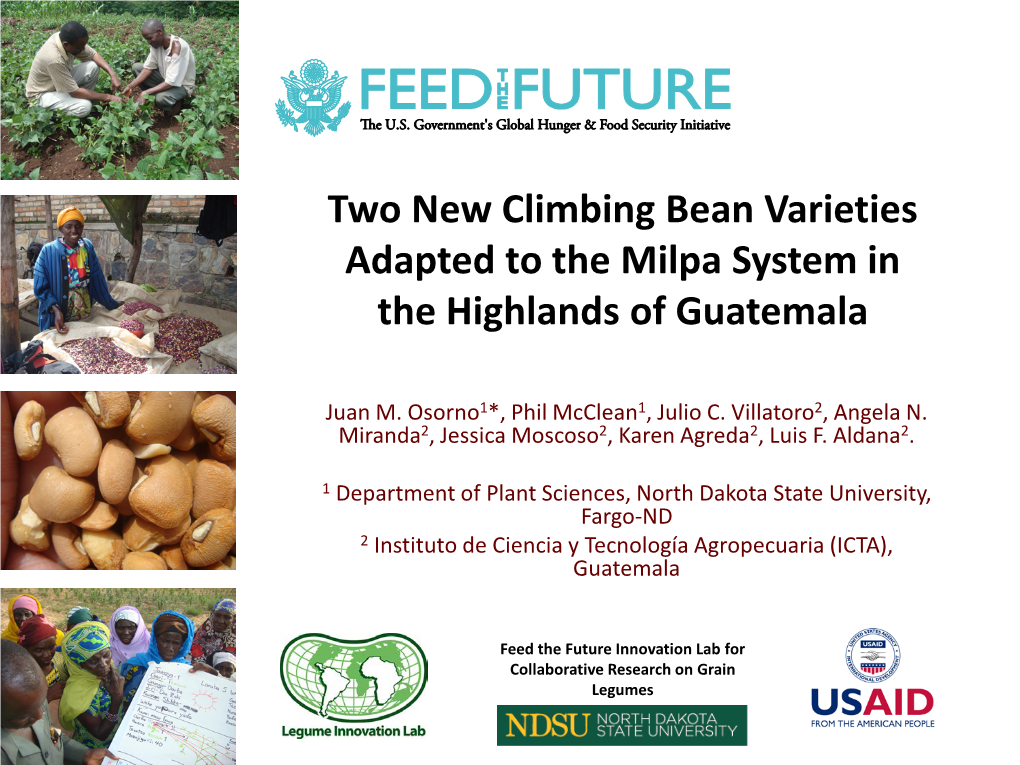 Two New Climbing Bean Varieties Adapted to the Milpa System in the Highlands of Guatemala