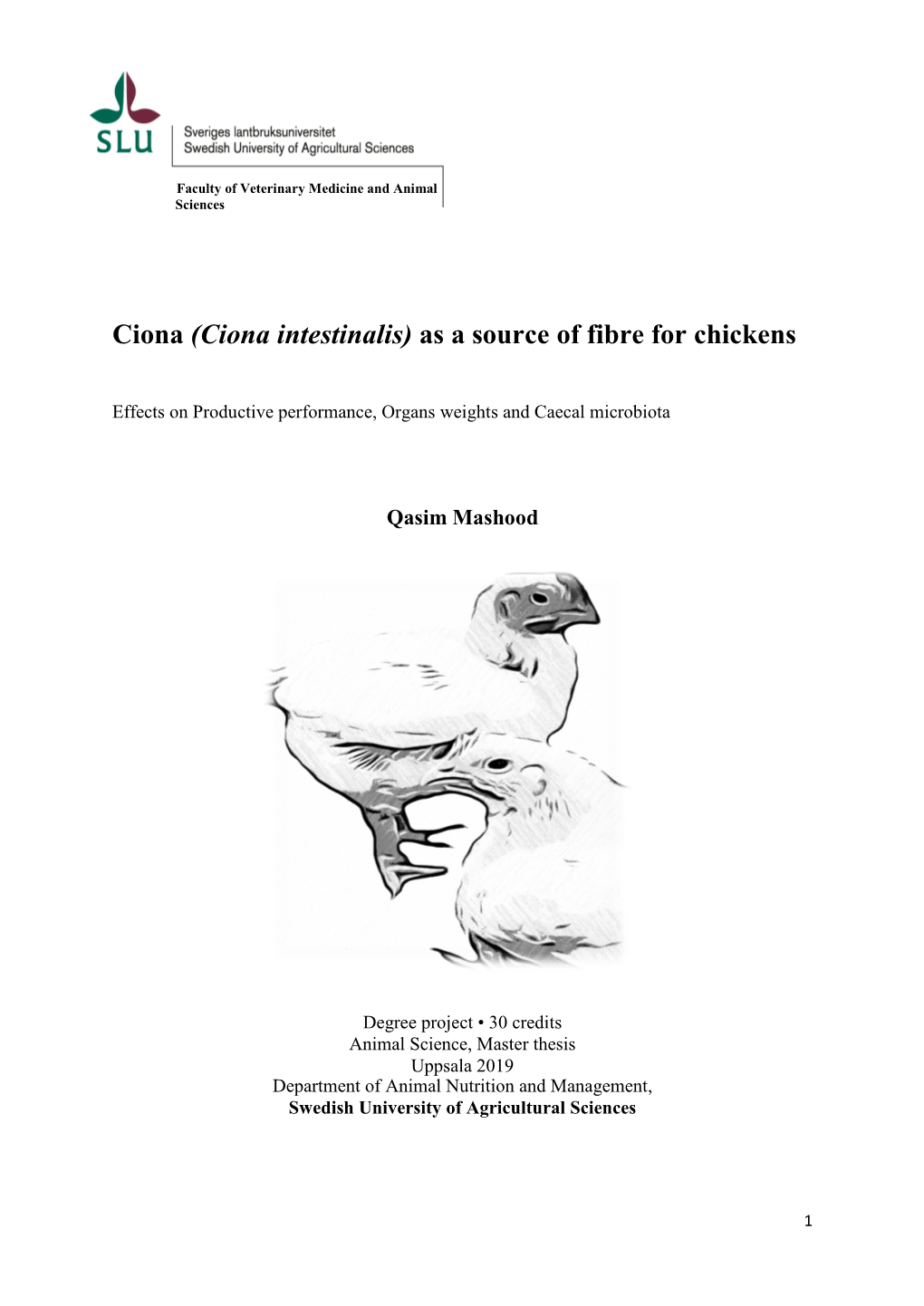 Ciona Intestinalis) As a Source of Fibre for Chickens