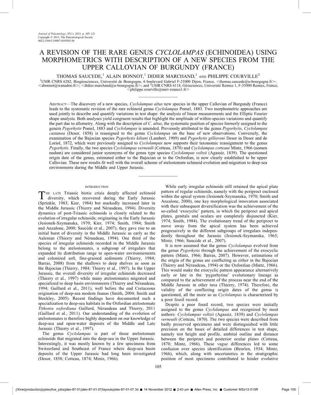 A Revision of the Rare Genus Cyclolampas (Echinoidea