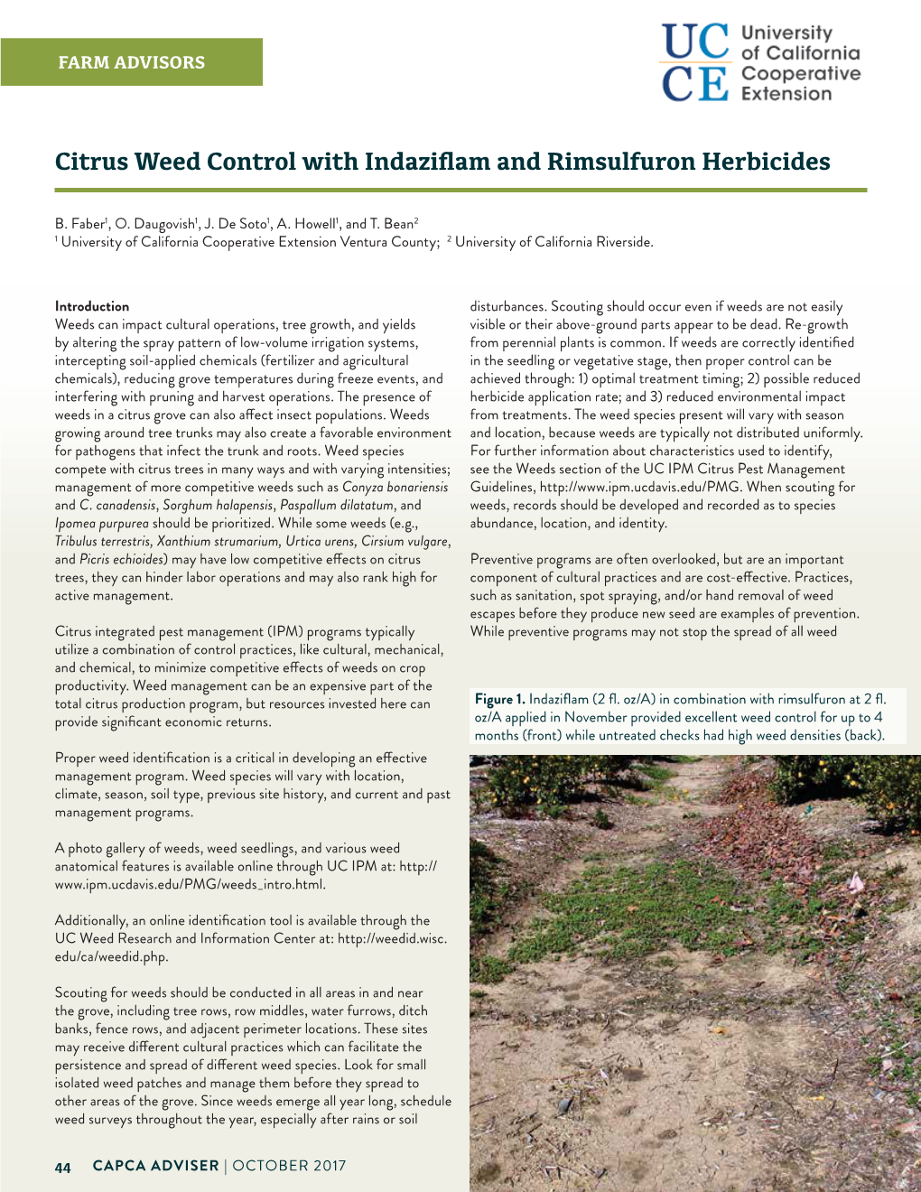 Citrus Weed Control with Indaziflam and Rimsulfuron Herbicides