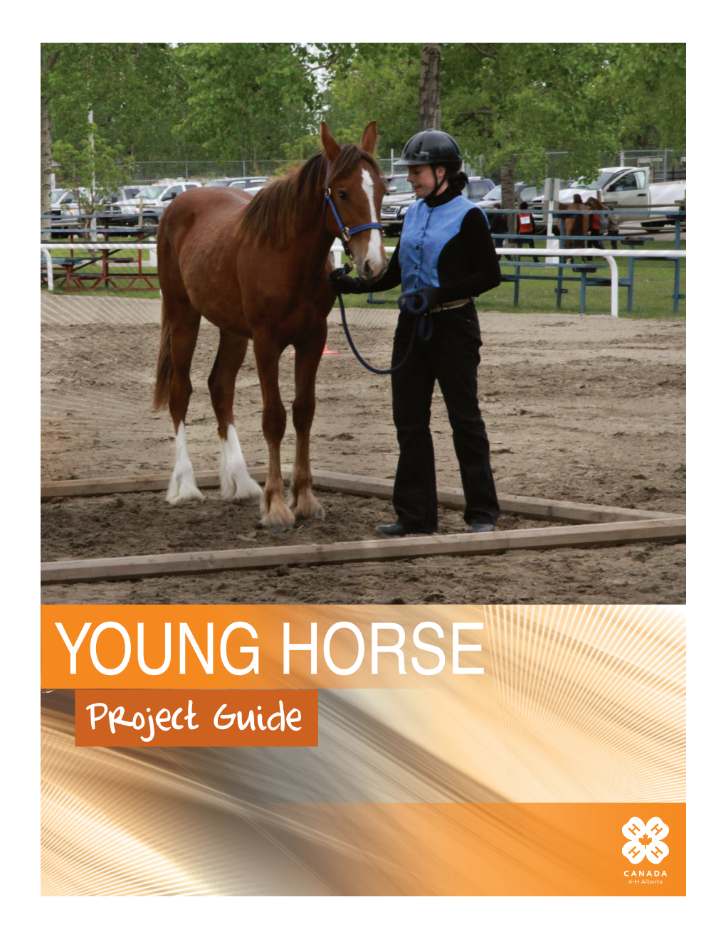 YOUNG HORSE Project Guide “Learn to Do by Doing”