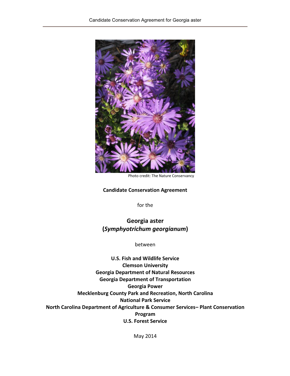 Candidate Conservation Agreement for Georgia Aster