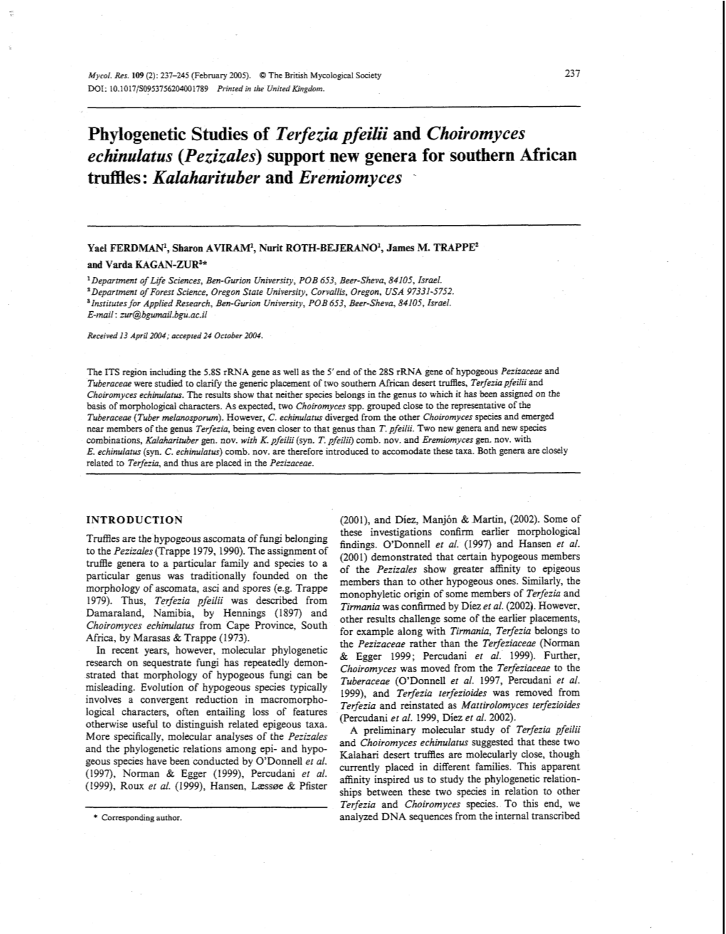 Phylogenetic Studies of Tevfezia P Feilii and Choivomyces Ecltinulatus