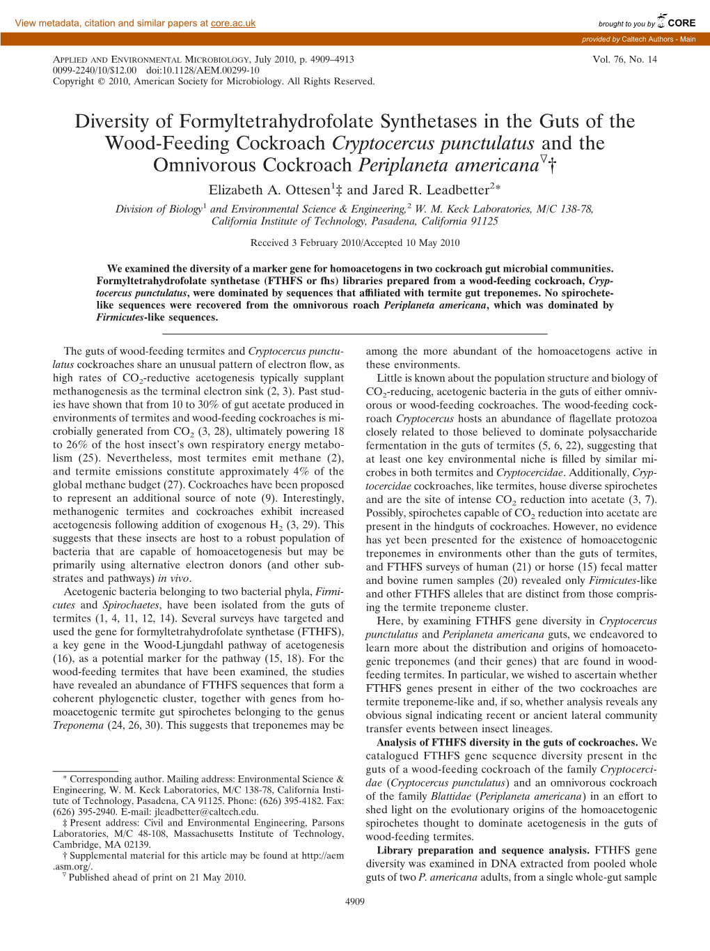 Diversity of Formyltetrahydrofolate Synthetases in the Guts of The