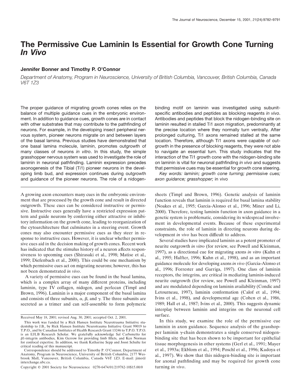 The Permissive Cue Laminin Is Essential for Growth Cone Turning in Vivo