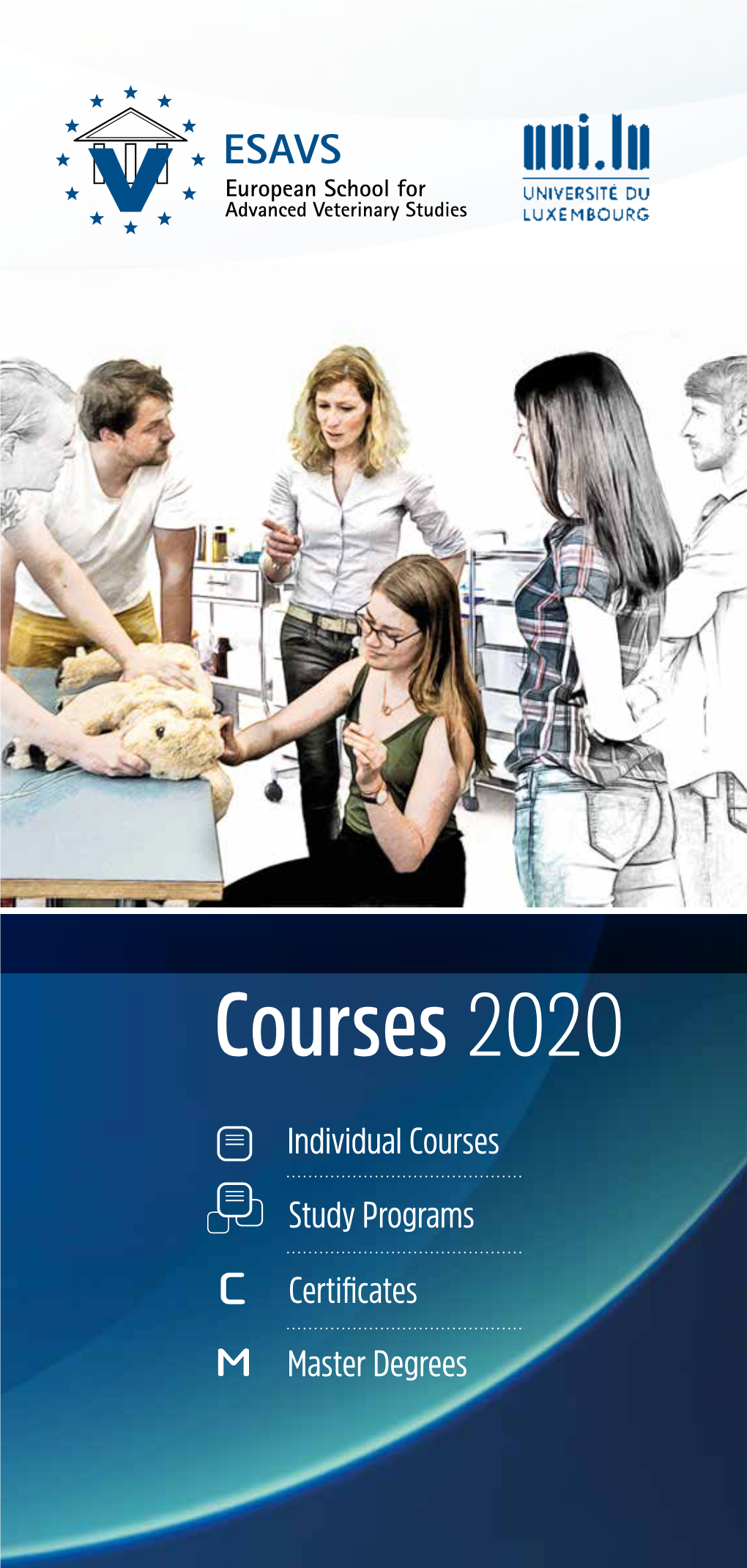 Courses 2020