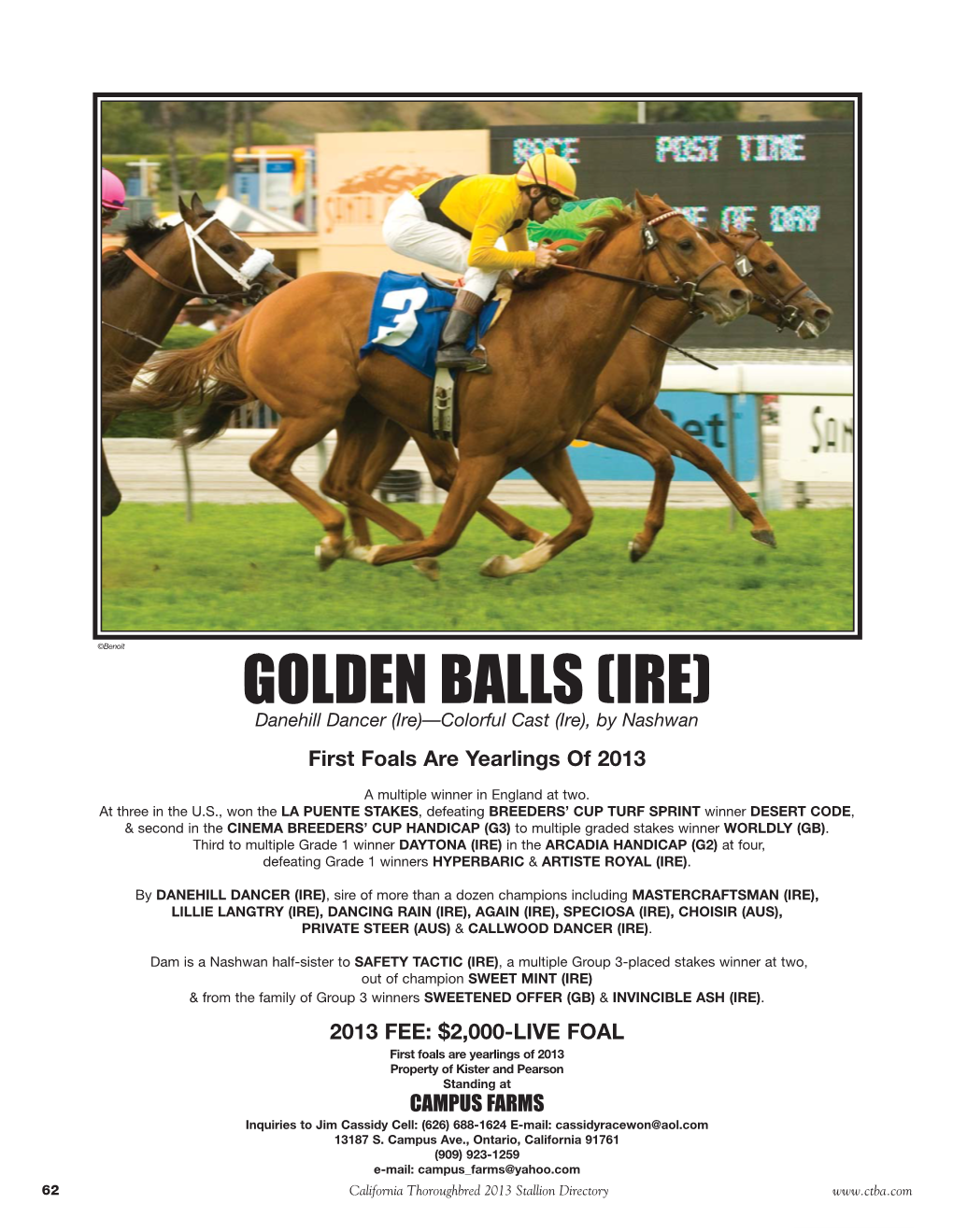 GOLDEN BALLS (IRE) Danehill Dancer (Ire)—Colorful Cast (Ire), by Nashwan First Foals Are Yearlings of 2013
