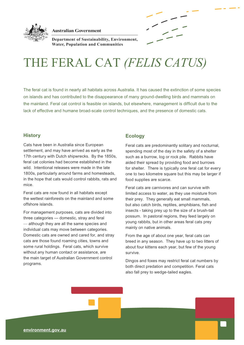 The Feral Cat (Felis Catus) - Fact Sheet