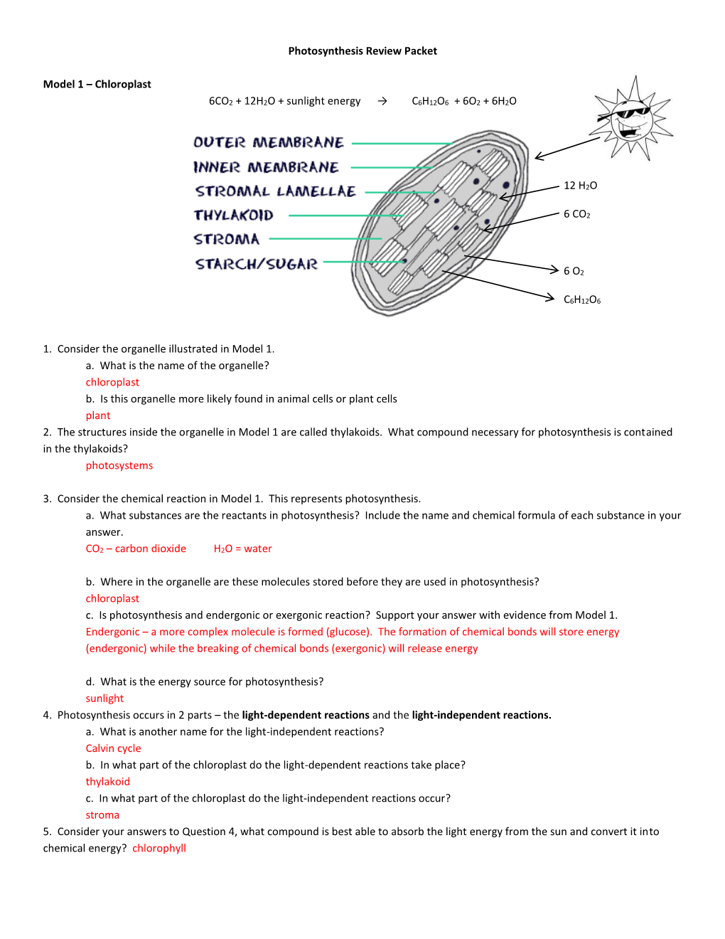 Photosynthesis Review Packet Model 1 – Chloroplast 6CO2 + 12H2O + Sunlight Energy → C 6H12O6 + 6O2 + 6H2O 1