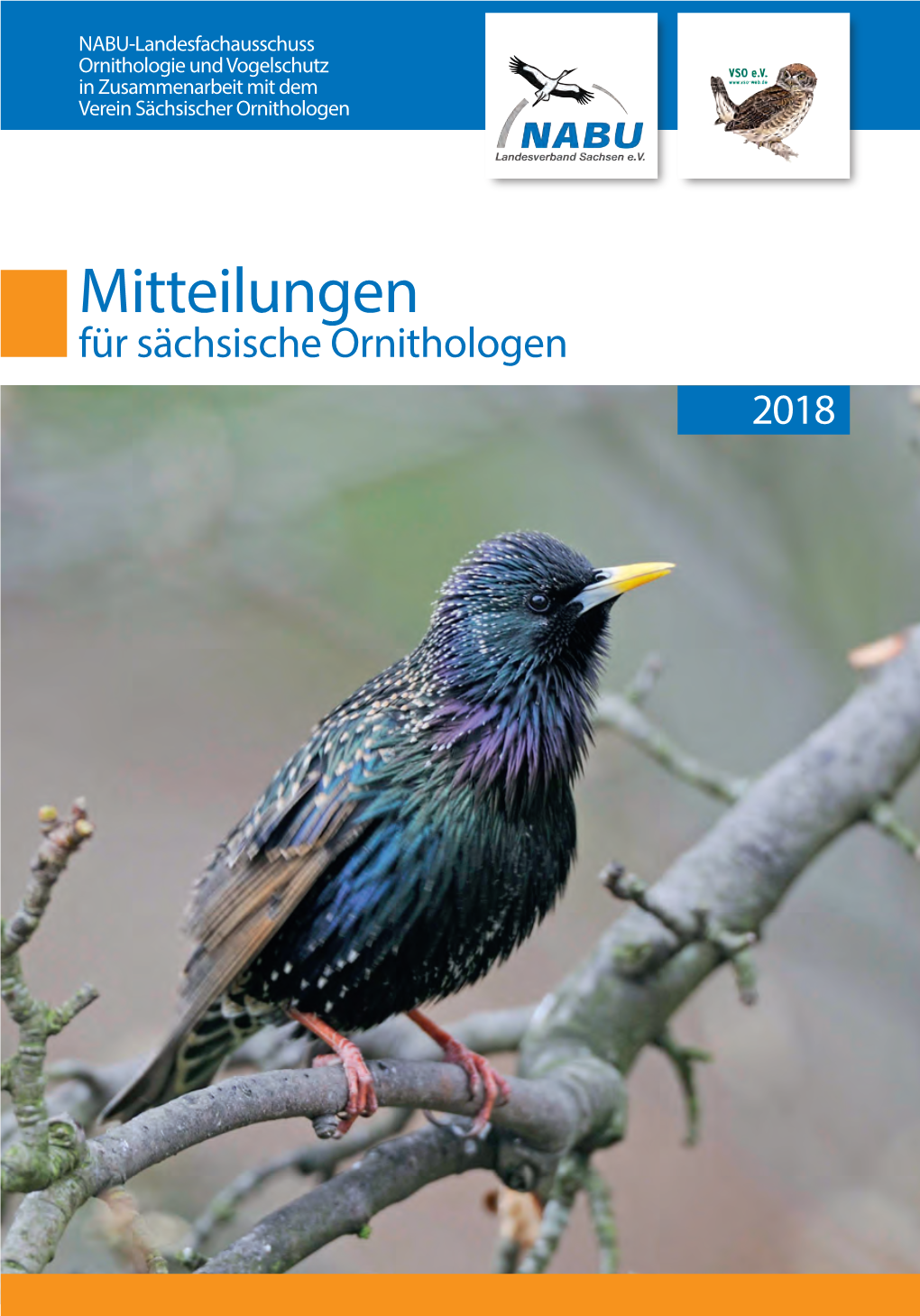 Mitteilungen Für Sächsische Ornithologen 2018 Titelbild: Adulter Star Sturnus Vulgaris, Foto: U