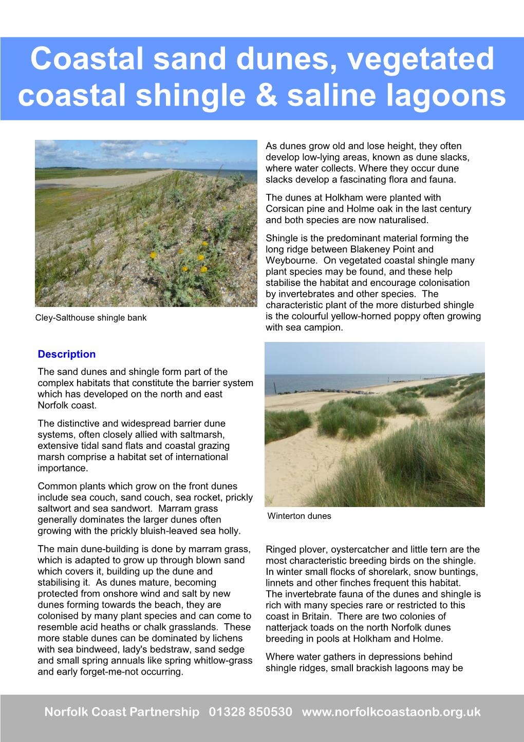 Coastal Sand Dunes, Vegetated Coastal Shingle & Saline Lagoons