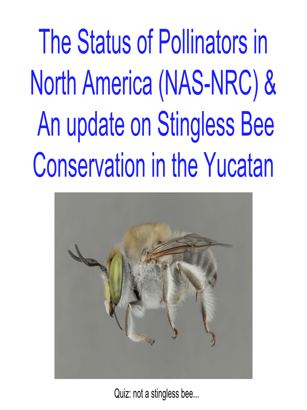 The Status of Pollinators in North America (NAS-NRC) & an Update on Stingless Bee Conservation in the Yucatan