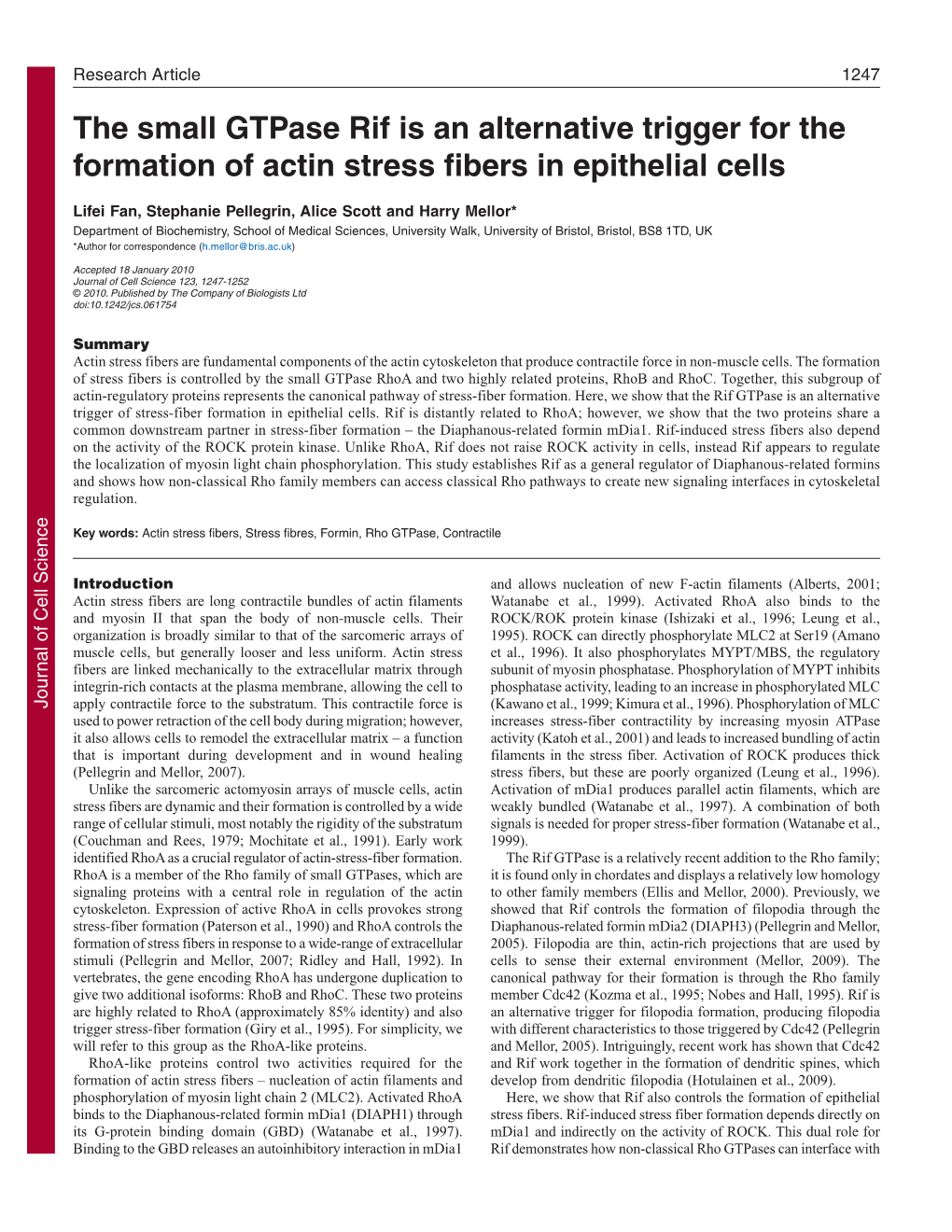 The Small Gtpase Rif Is an Alternative Trigger for the Formation of Actin Stress Fibers in Epithelial Cells