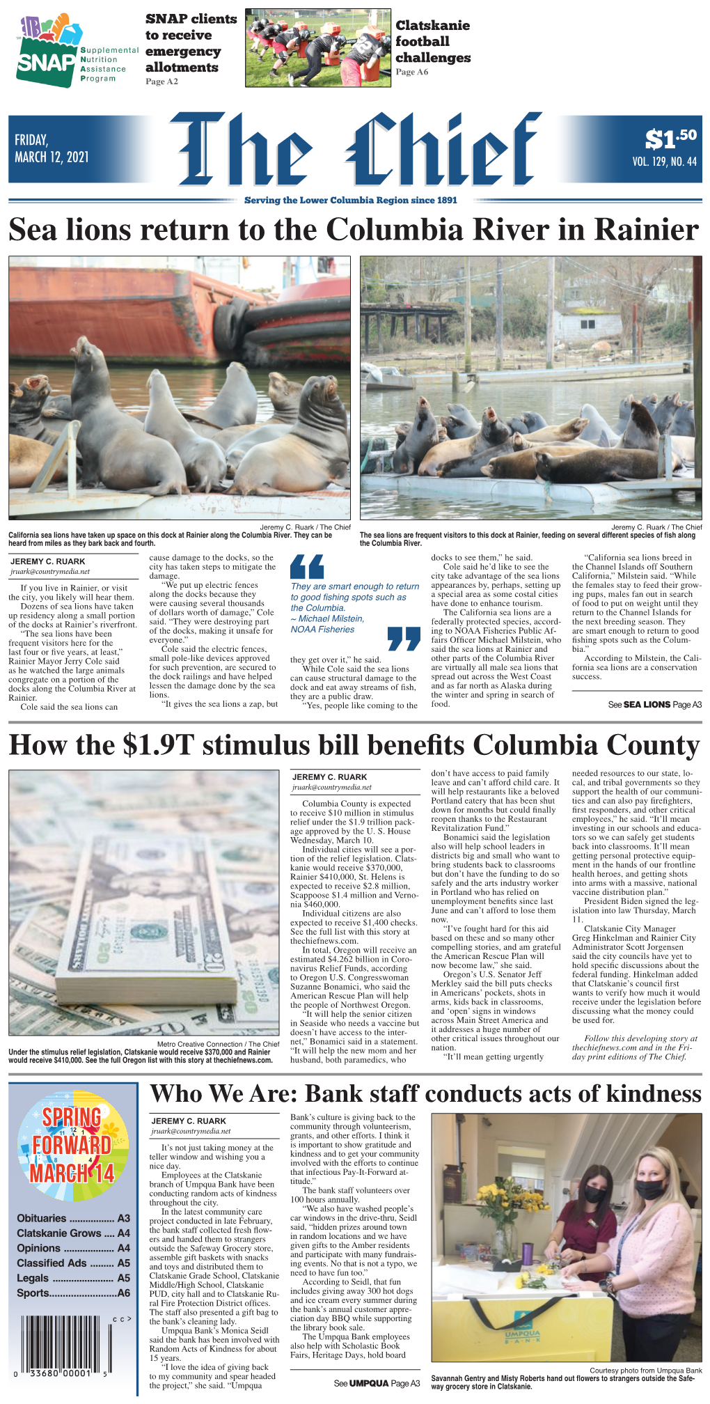 Sea Lions Return to the Columbia River in Rainier