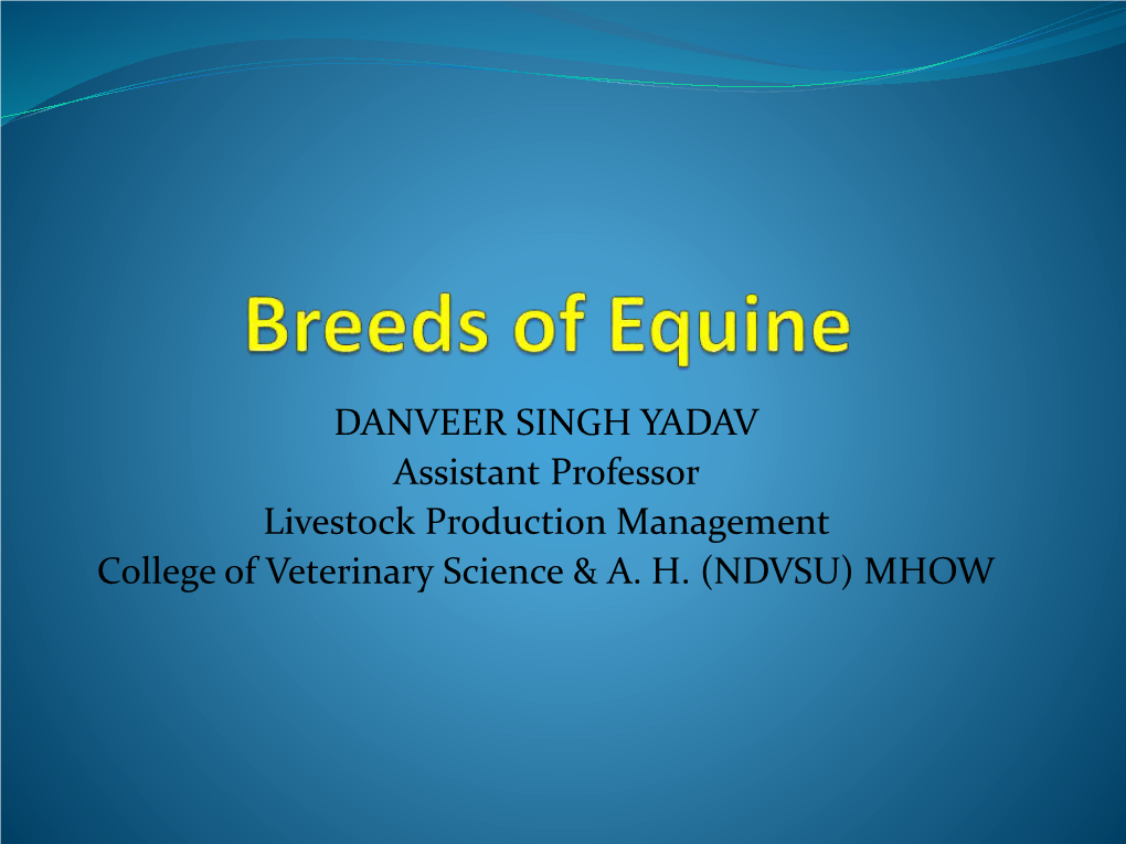 Breeds of Equine