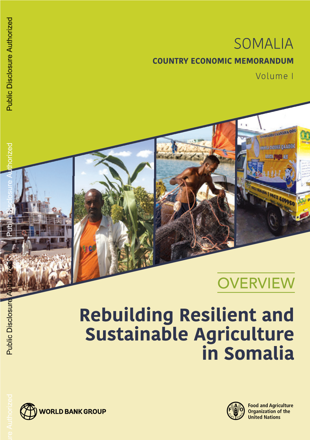Rebuilding Resilient and Sustainable Agriculture in Somalia FOREWORD