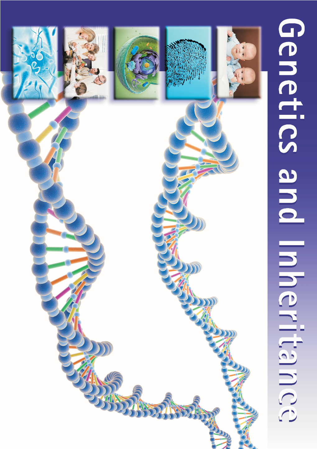 Genetics and Inheritance Genetic Information Is Passed Down from One Generation of Organisms to Another