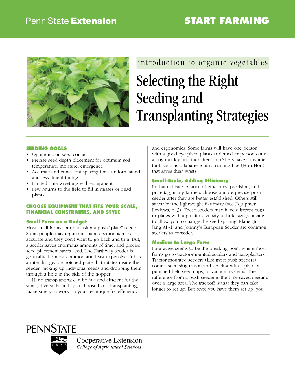 Selecting the Right Seeding and Transplanting Strategies