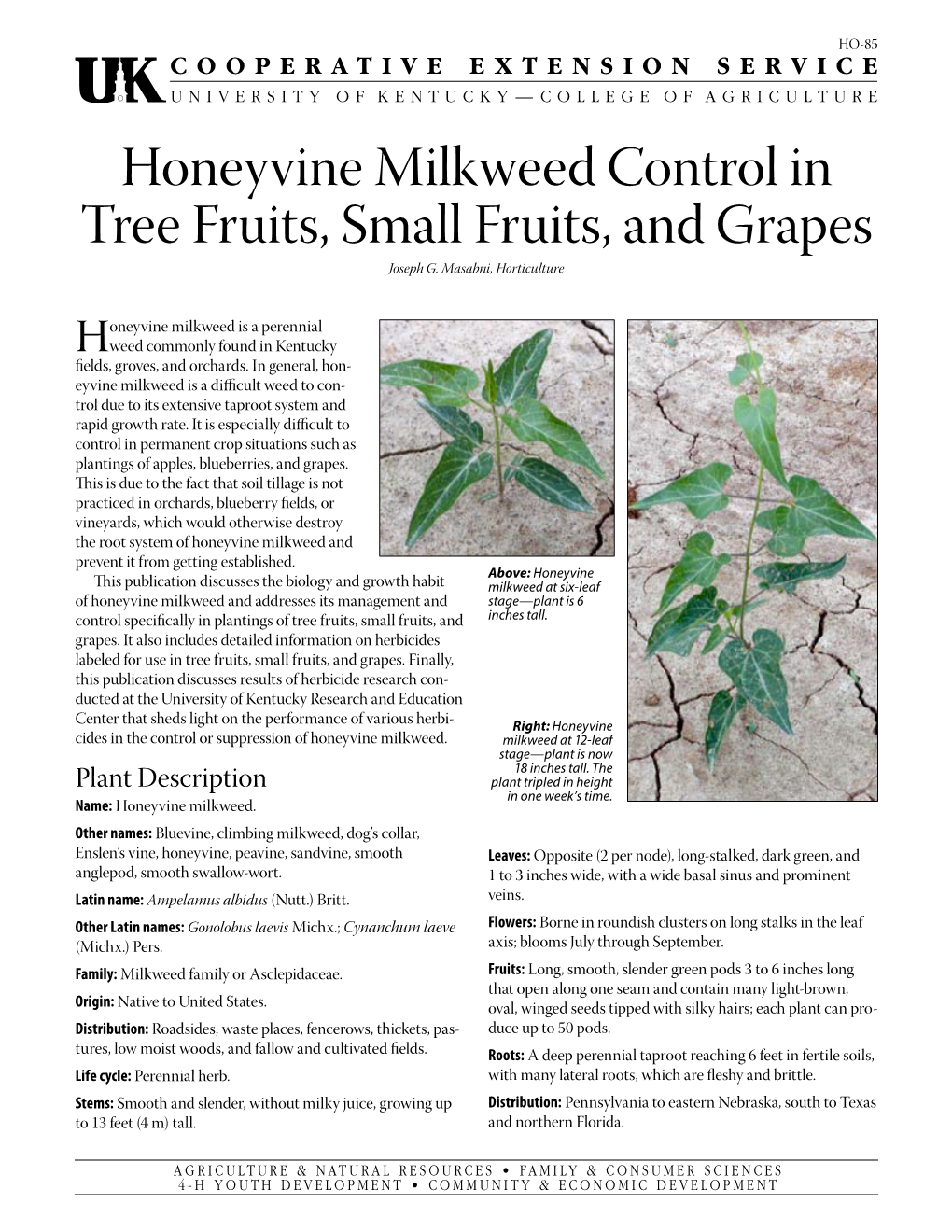 Honeyvine Milkweed Control in Tree Fruits, Small Fruits, and Grapes Joseph G