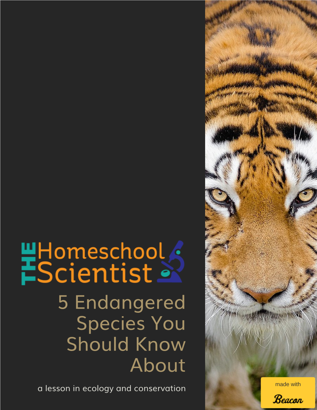 5 Endangered Species You Should Know About a Lesson in Ecology and Conservation Made with Table of Contents