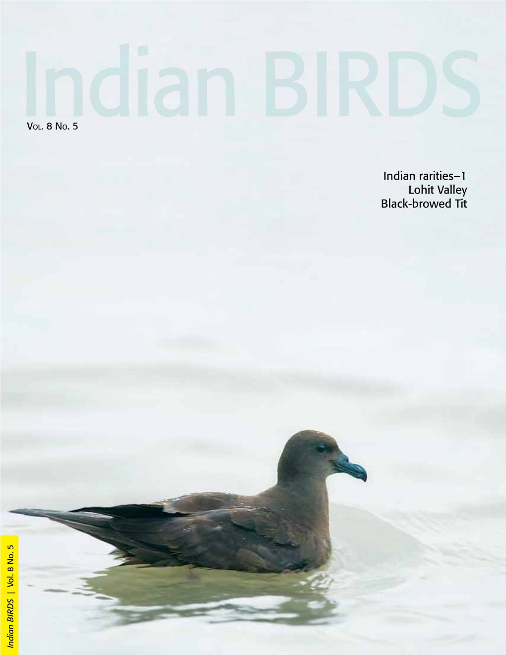 Indian Rarities–1 Lohit Valley Black-Browed Tit | Vol