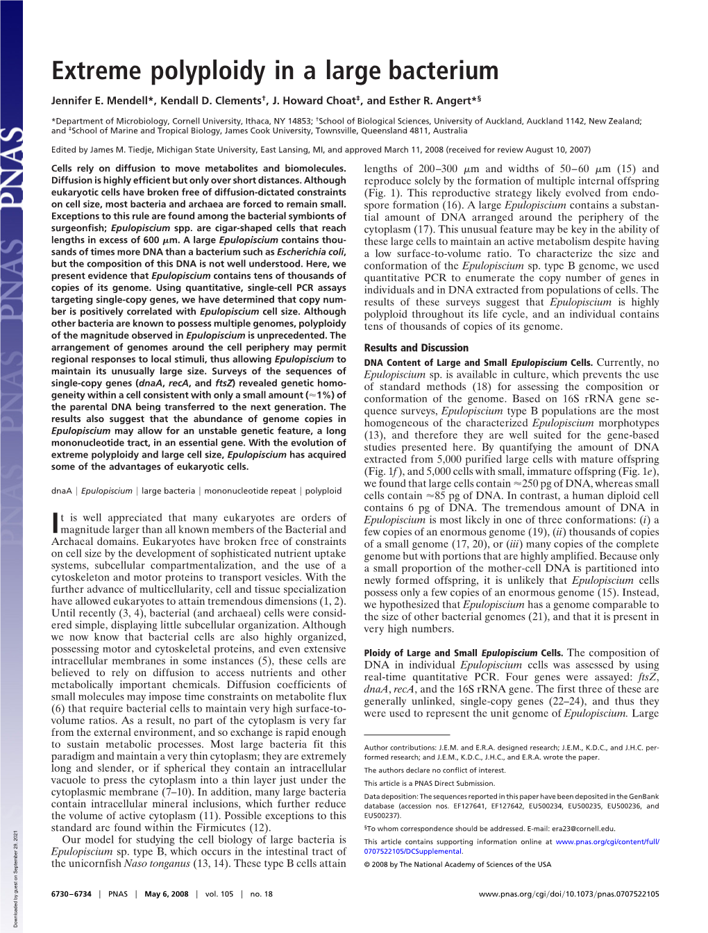 Extreme Polyploidy in a Large Bacterium