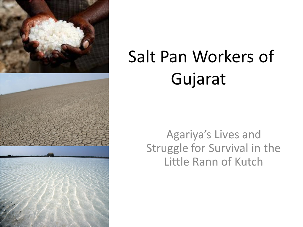 Salt Pan Workers of Gujarat