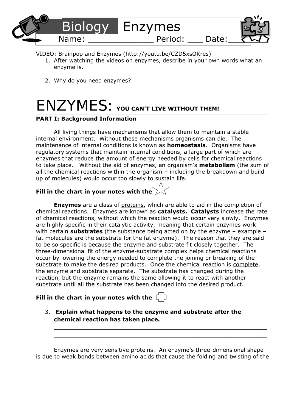 Enzymes: They Are All Around You