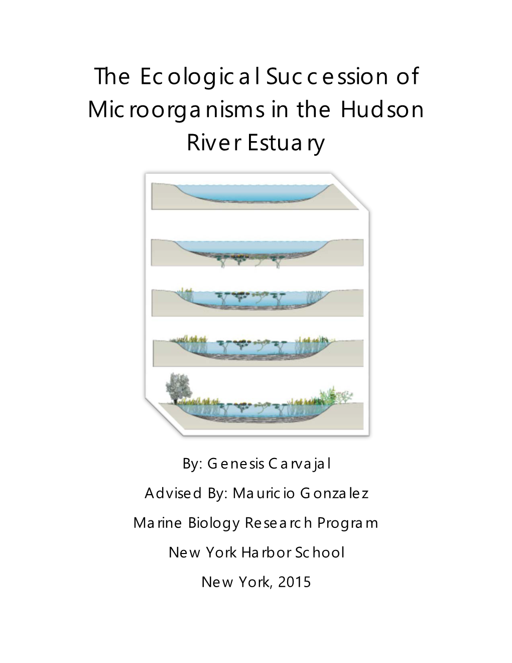 The Ecological Succession of Microorganisms in the Hudson River Estuary