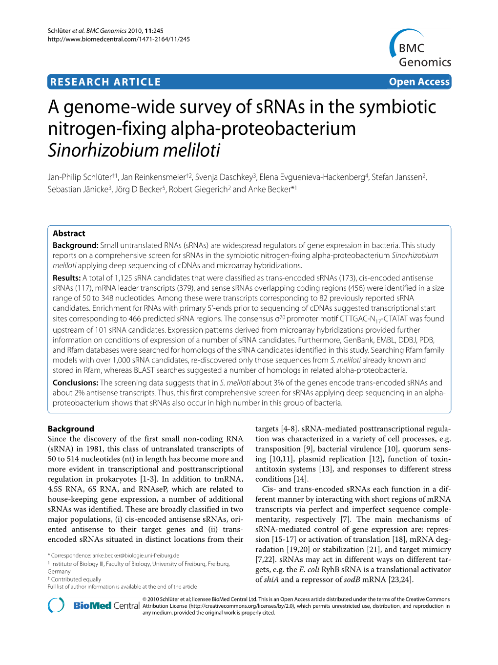 A Genome-Wide Survey of Srnas in the Symbiotic Nitrogen-Fixing