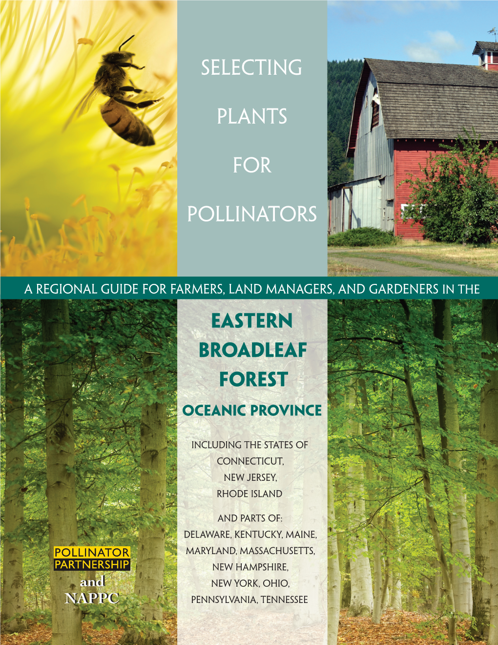Eastern Broadleaf Forest, Oceanic Province 3 Why Support Pollinators?