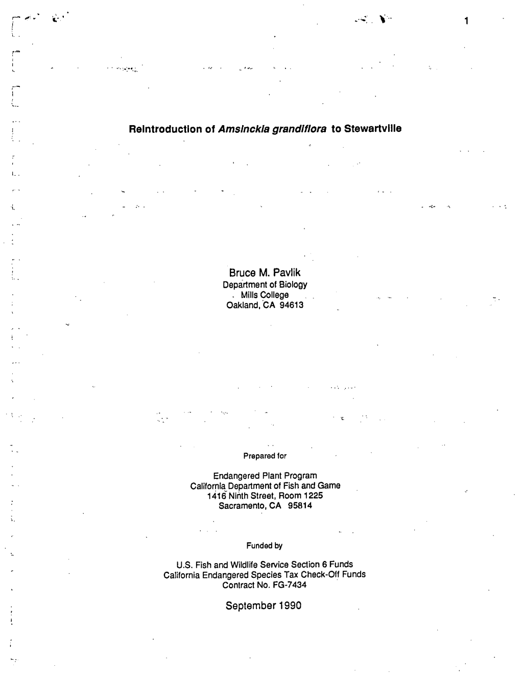 Reintroduction of Amsinckia Grandiflora to Stewartviile