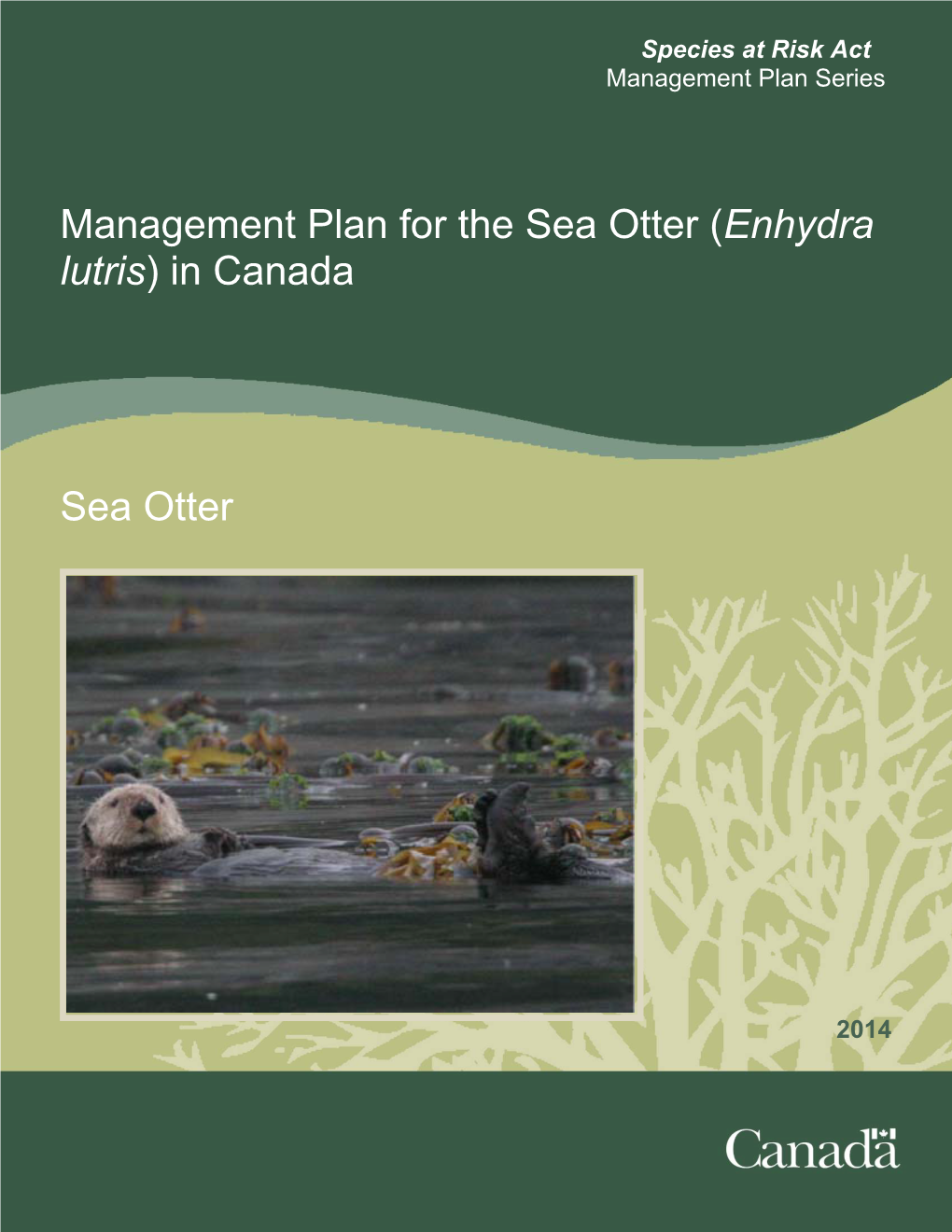 Management Plan for the Sea Otter (Enhydra Lutris) in Canada Sea