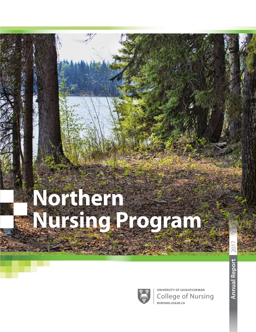 Northern Nursing Program