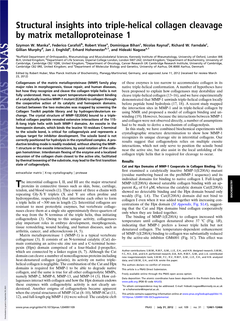 Structural Insights Into Triple-Helical Collagen Cleavage by Matrix Metalloproteinase 1