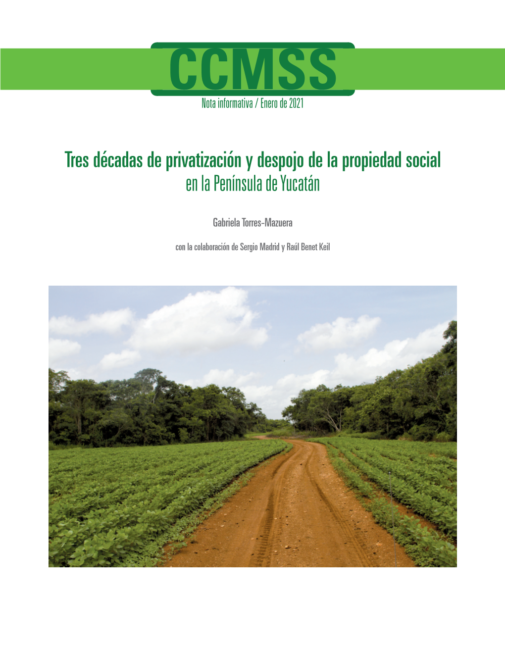 Tres Décadas De Privatización Y Despojo De La Propiedad Social En La Península De Yucatán