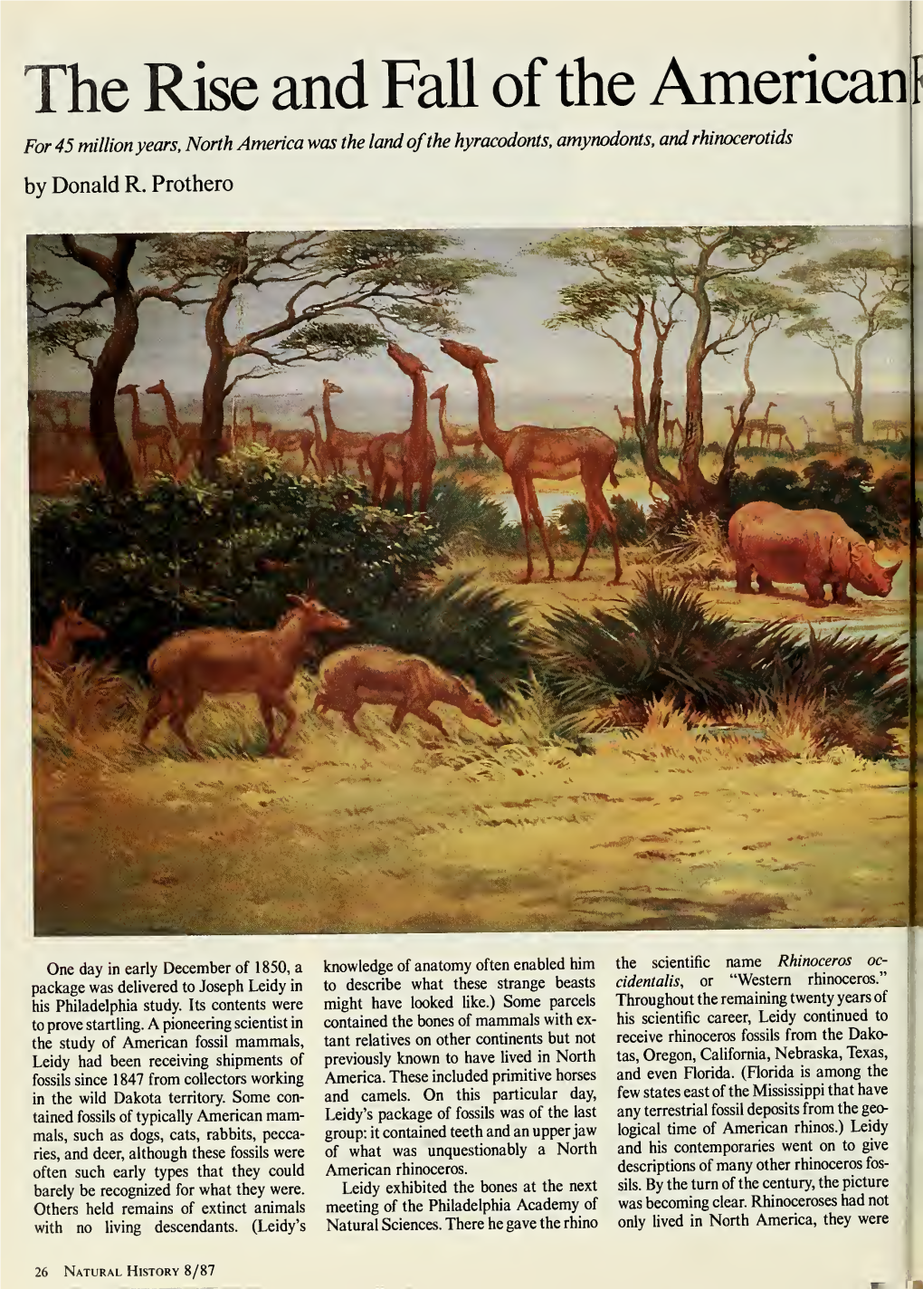 Natural History 8/87 Rhino the Plains Ofwestern Nebraska in the Late Miocene Hosted Great Congregations of Mammals