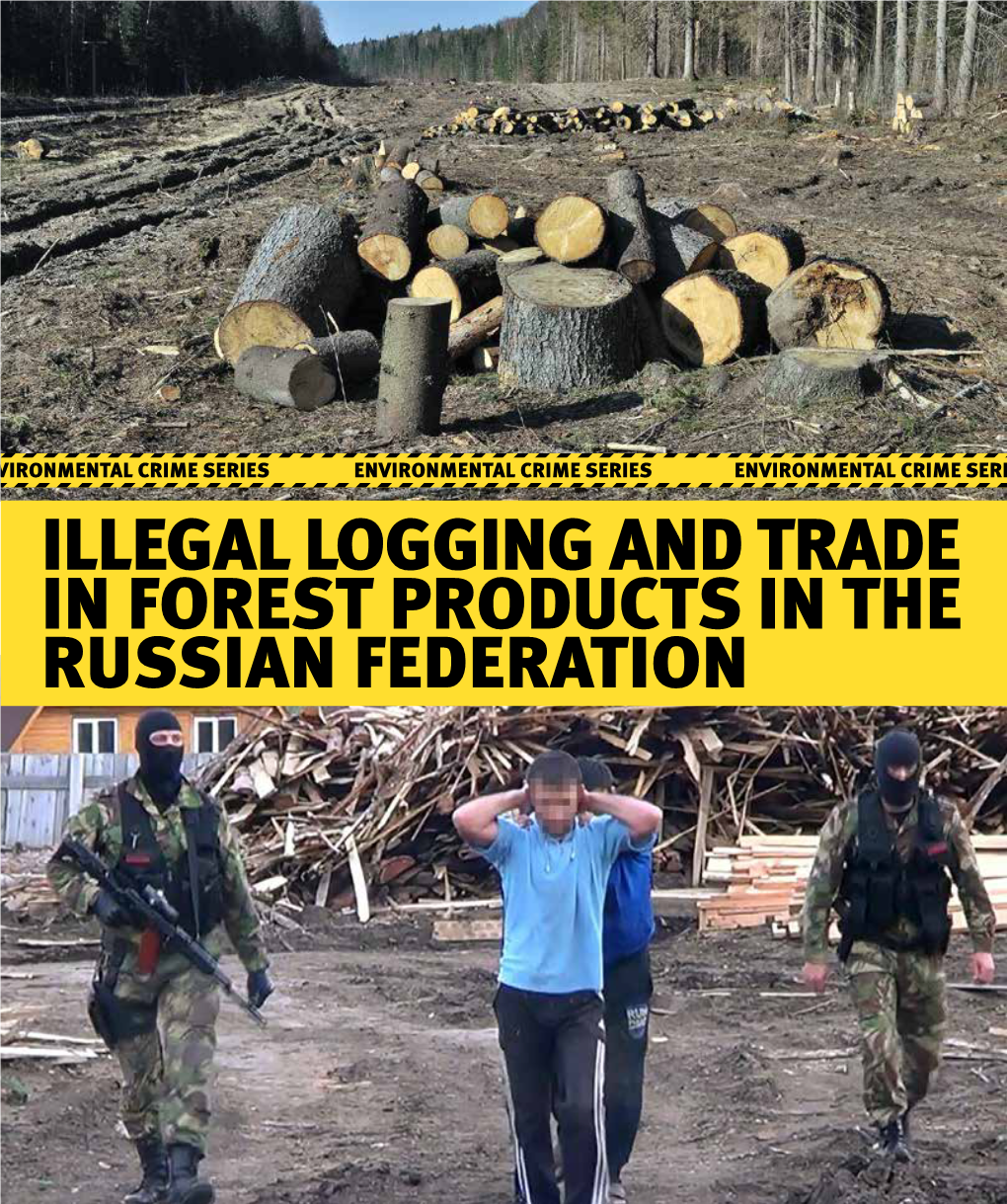 Illegal Logging and Trade in Forest Products in the Russian Federation