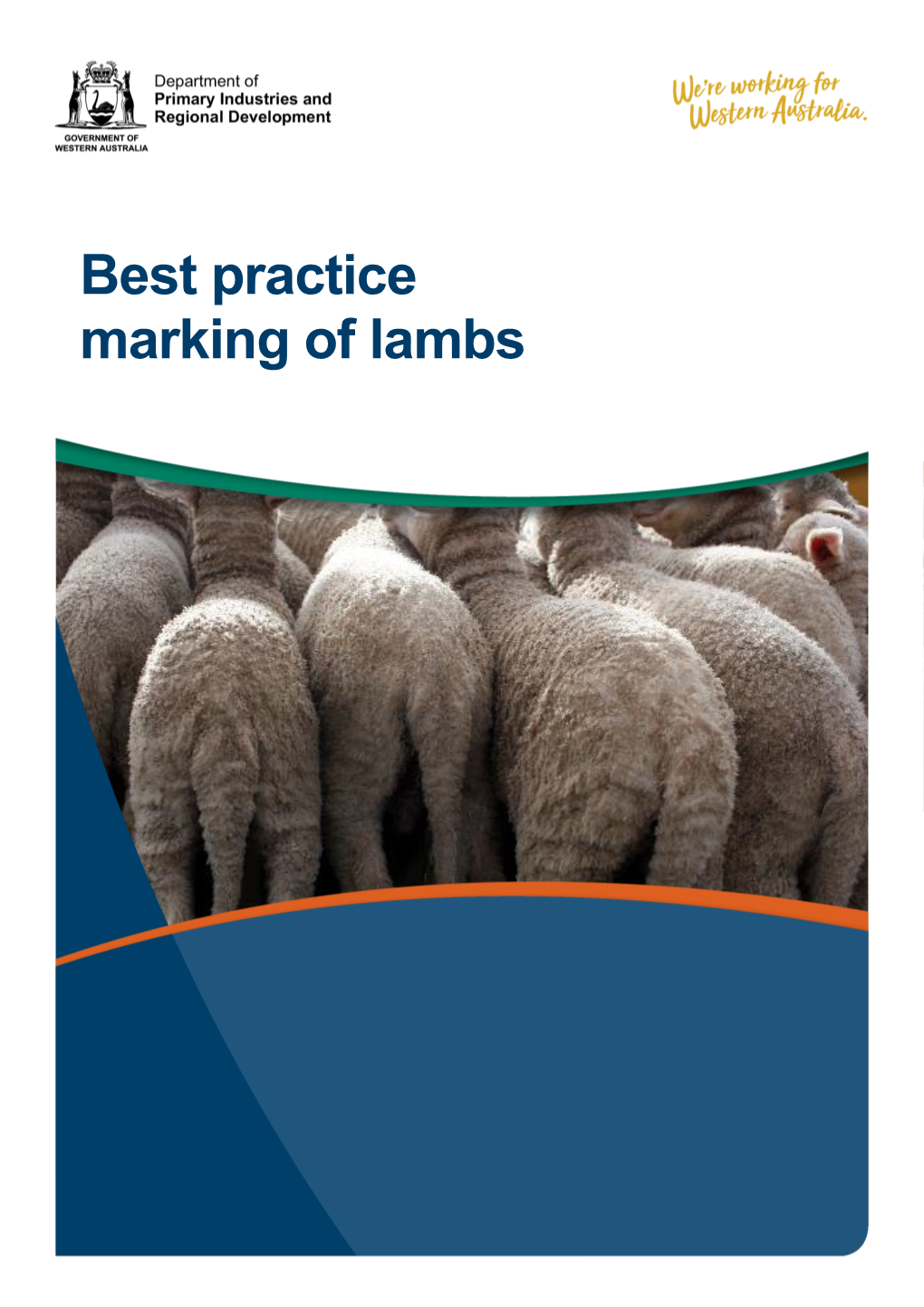 Best Practice Marking of Lambs