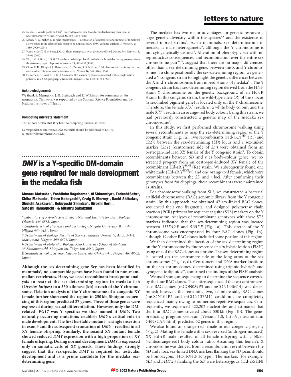 DMY Is a Y-Specific DM-Domain Gene Required for Male Development In