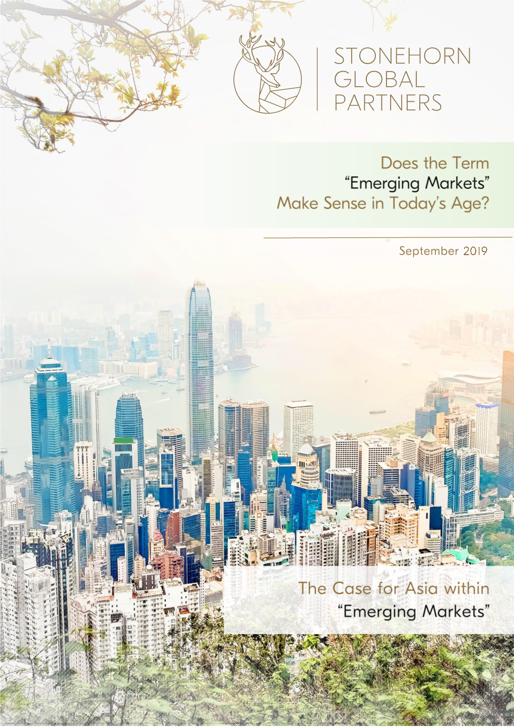 Stonehorn Global Partners Emerging Markets Whitepaper September 2019