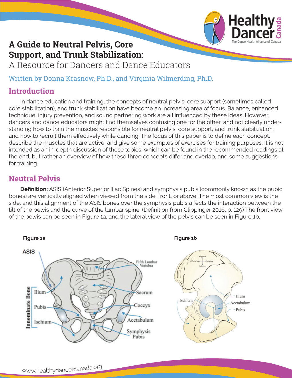 A Guide to Neutral Pelvis, Core Support, and Trunk Stabilization